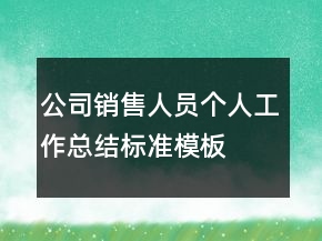 公司销售人员个人工作总结标准模板