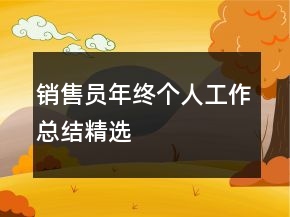 销售员年终个人工作总结精选
