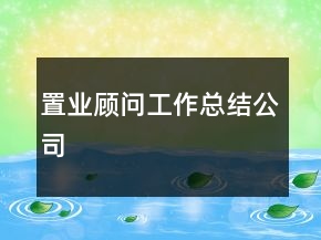 置业顾问工作总结公司