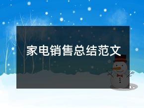 家电销售总结范文