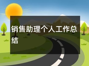 销售助理个人工作总结