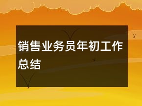 销售业务员年初工作总结