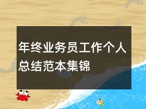年终业务员工作个人总结范本集锦