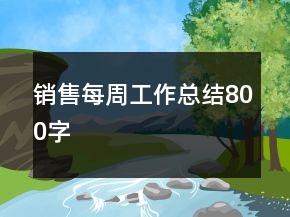 销售每周工作总结800字