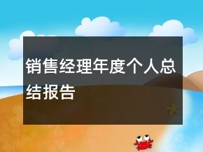 销售经理年度个人总结报告