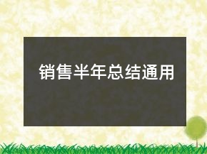 销售半年总结通用