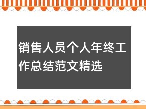 销售人员个人年终工作总结范文精选