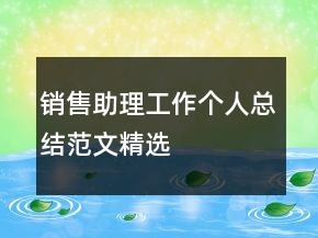 销售助理工作个人总结范文精选