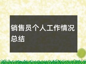 销售员个人工作情况总结