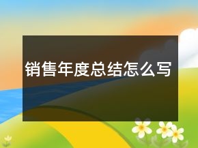 销售年度总结怎么写