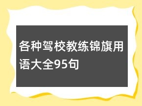 各种驾校教练锦旗用语大全95句
