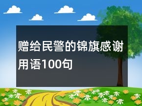 赠给民警的锦旗感谢用语100句