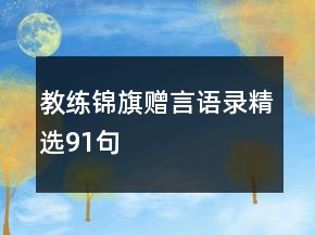 教练锦旗赠言语录精选91句