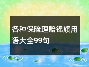 各种保险理赔锦旗用语大全99句