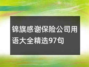 锦旗感谢保险公司用语大全精选97句