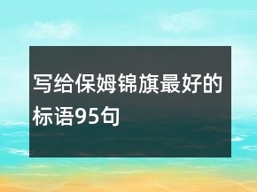 写给保姆锦旗最好的标语95句