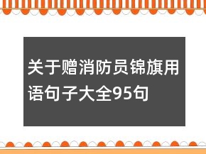 关于赠消防员锦旗用语句子大全95句