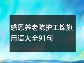 感恩养老院护工锦旗用语大全91句