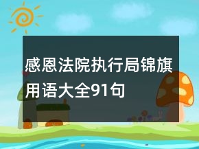 感恩法院执行局锦旗用语大全91句