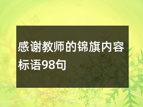 感谢教师的锦旗内容标语98句