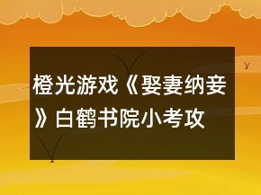 橙光游戏《娶妻纳妾》白鹤书院小考攻略