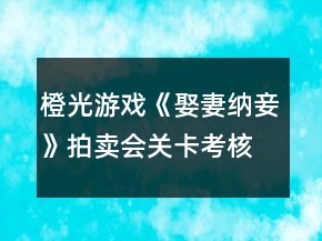 橙光游戏《娶妻纳妾》拍卖会关卡考核攻略