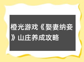 橙光游戏《娶妻纳妾》山庄养成攻略