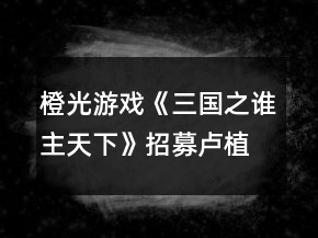 橙光游戏《三国之谁主天下》招募卢植攻略