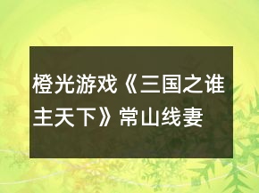 橙光游戏《三国之谁主天下》常山线妻妾攻略