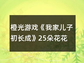橙光游戏《我家儿子初长成》25朵花花上贵族双语小学日程安排攻略