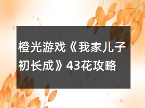 橙光游戏《我家儿子初长成》43花攻略