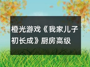 橙光游戏《我家儿子初长成》厨房高级餐饮攻略