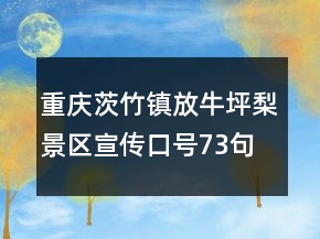 重庆茨竹镇放牛坪梨景区宣传口号73句