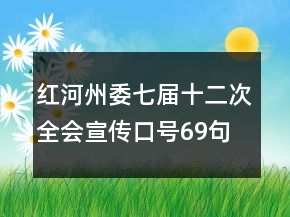红河州委七届十二次全会宣传口号69句