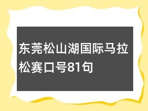 东莞松山湖国际马拉松赛口号81句