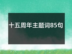 十五周年主题词85句