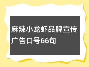 麻辣小龙虾品牌宣传广告口号66句