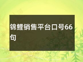 锦鲤销售平台口号66句
