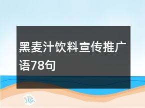 黑麦汁饮料宣传推广语78句