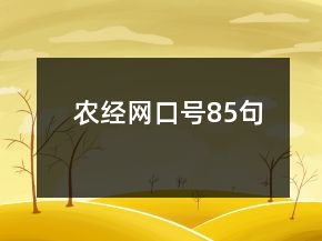 农经网口号85句