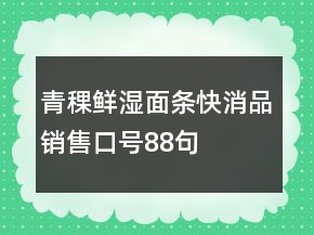 青稞鲜湿面条快消品销售口号88句