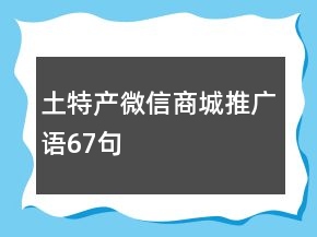 土特产微信商城推广语67句
