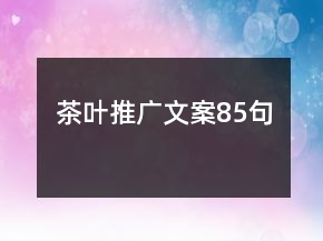 茶叶推广文案85句