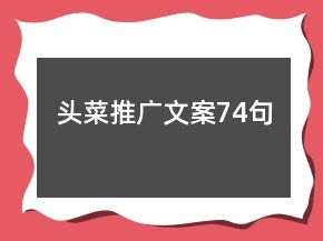 头菜推广文案74句