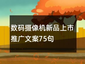 数码摄像机新品上市推广文案75句