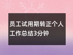 员工试用期转正个人工作总结3分钟