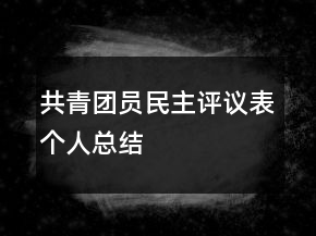共青团员民主评议表个人总结