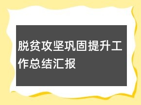 脱贫攻坚巩固提升工作总结汇报