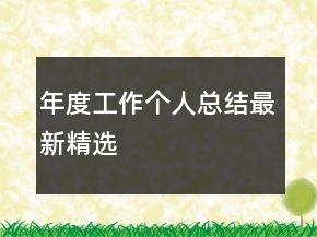 年度工作个人总结最新精选