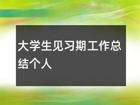 大学生见习期工作总结个人